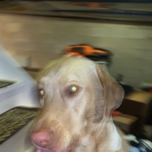 Meet your Posher, Kennedy